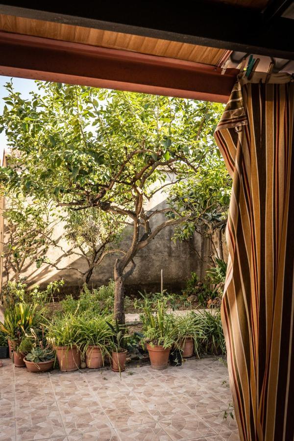 Musei Sa Domu De Ladiri - Matrimoniale Con Giardino B&B 외부 사진