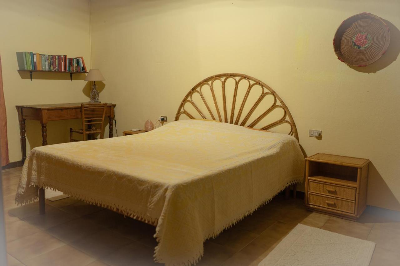 Musei Sa Domu De Ladiri - Matrimoniale Con Giardino B&B 외부 사진