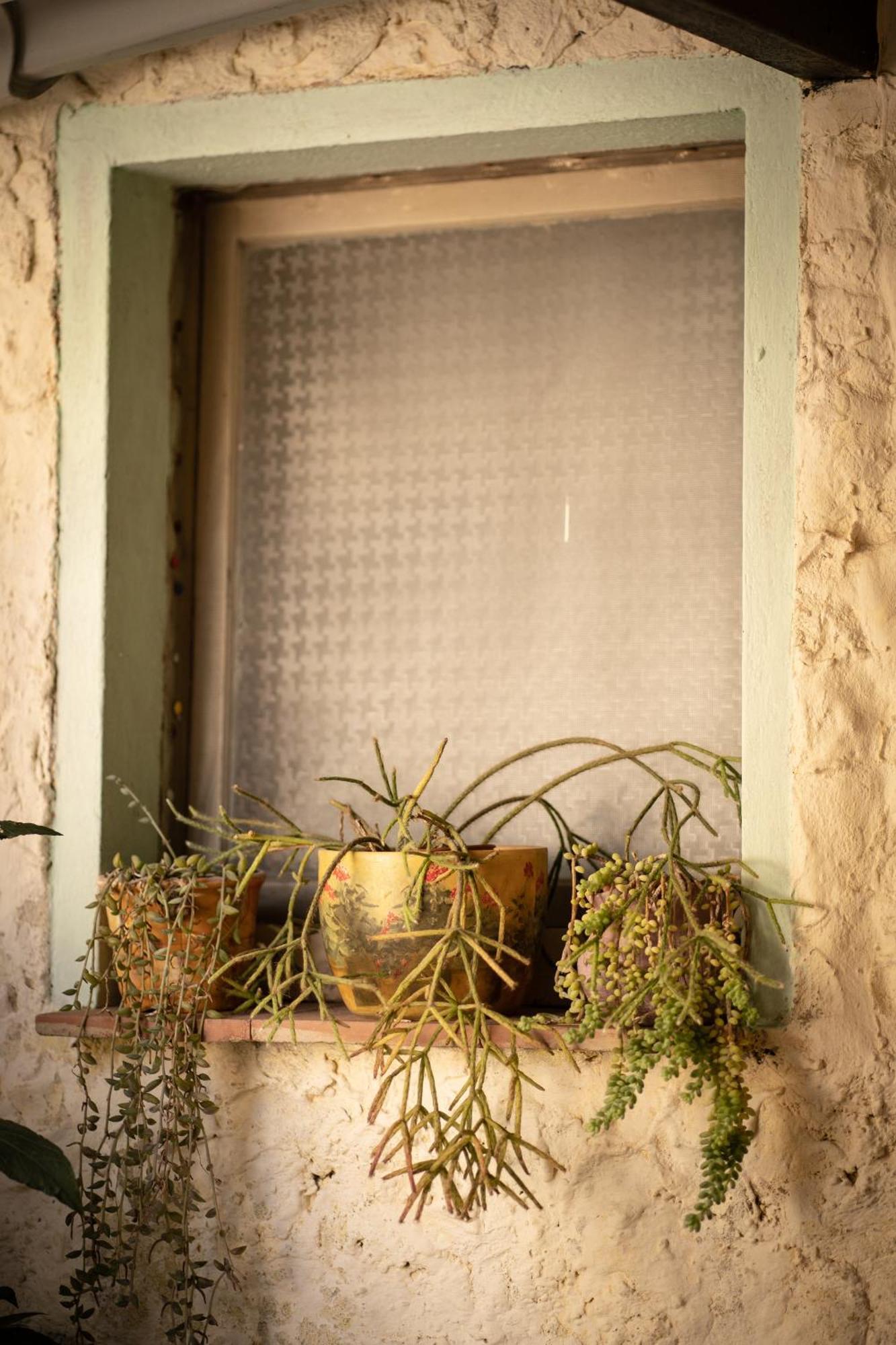 Musei Sa Domu De Ladiri - Matrimoniale Con Giardino B&B 외부 사진